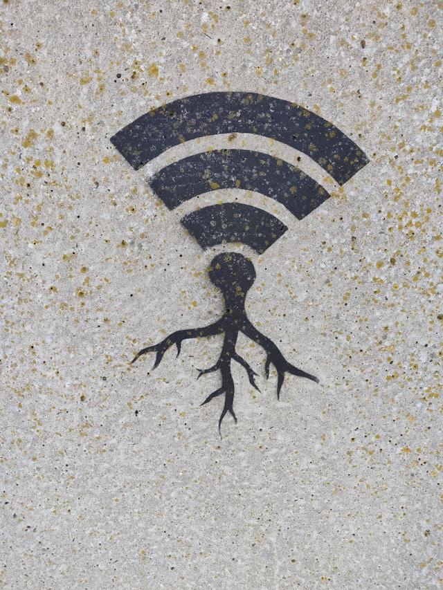 Internet of Things (IoT)